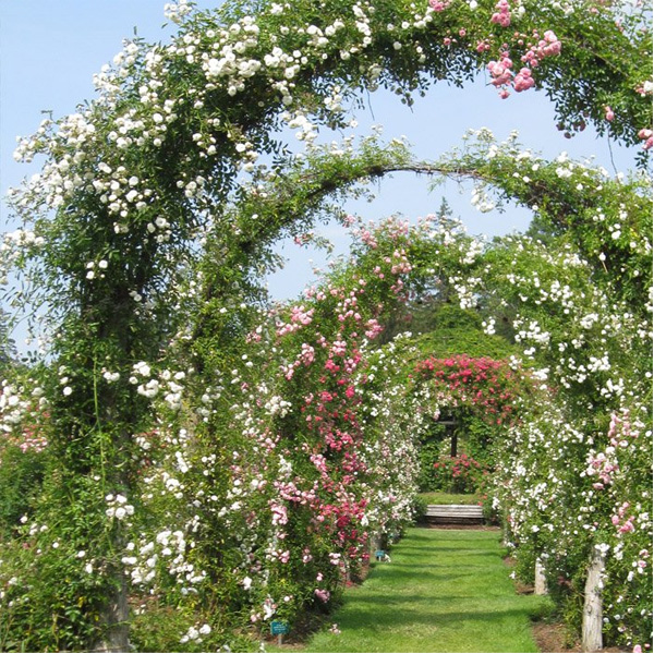 arco per giardino decorativo, arco per rampicanti, arco per rose, arco in ferro battuto, giardinaggio Bergamo, Rota Commerciale Bergamo