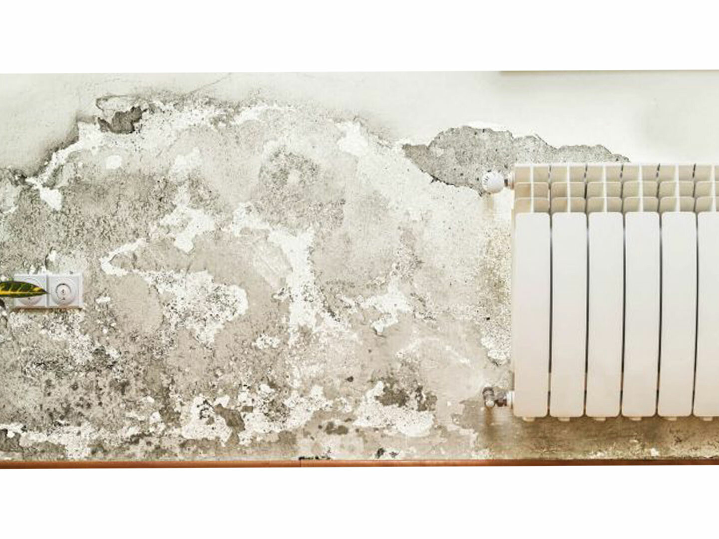 umidità di risalita, eliminare umidità di risalita soluzioni e rimedi, umidità muri, materiali edili Bergamo, Rota commerciale Bergamo