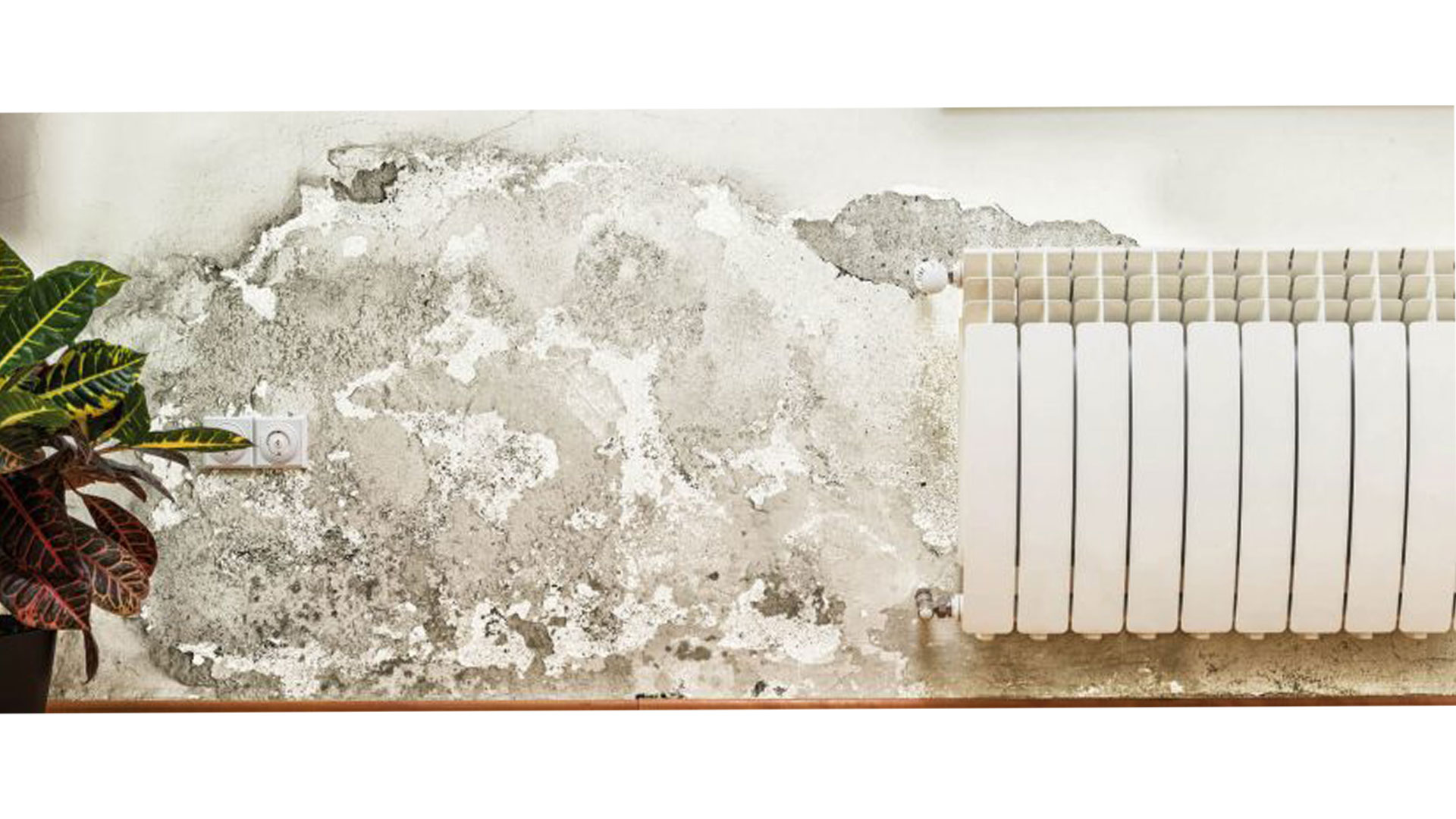 umidità di risalita, eliminare umidità di risalita soluzioni e rimedi, umidità muri, materiali edili Bergamo, Rota commerciale Bergamo