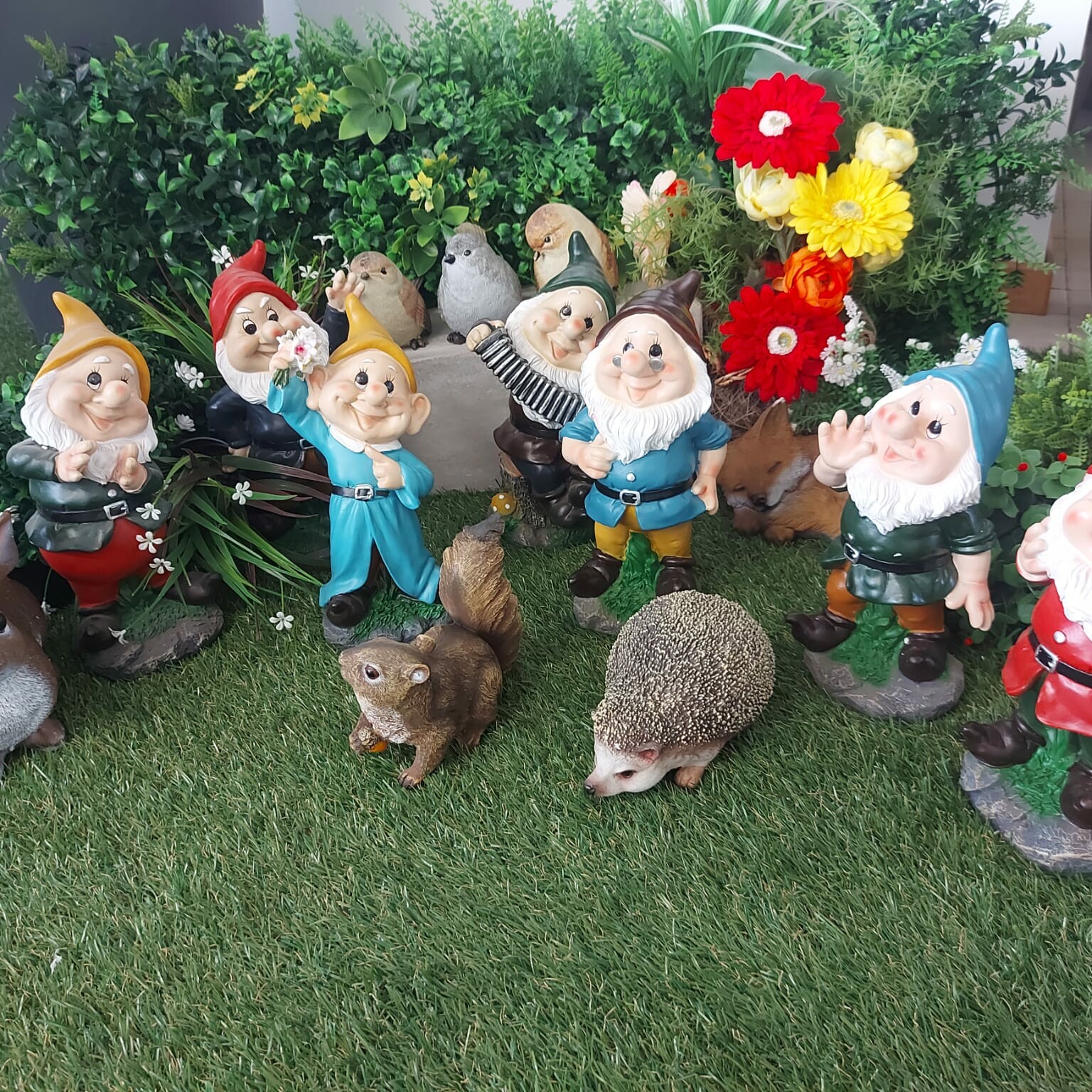 nani da giardino, nani, festa dei nani da giardino, 10 giugno, nanetti da giardino , giardinaggio Bergamo, nani giardino, nani portafortuna, Giardinaggio, Rota Commerciale Bergamo