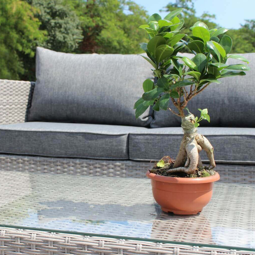 salotto in polyrattan da esterno, salotto in wicker da esterno, salotto da esterno, salotto in wicker, salotto in polyrattan, arredo giardino, arredo giardino Bergamo, giardinaggio Bergamo, giardinaggio, Rota Commerciale Bergamo