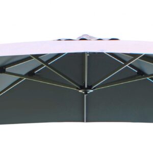 TELO DARWIN GRIGIO 3 X 4 P/L