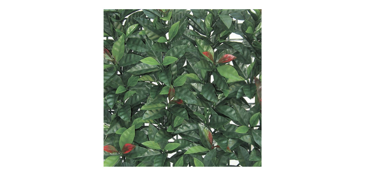 siepe artificiale sempreverde redplast, siepe finta, siepe, siepi artificiali, Giardinaggio Bergamo, Rota Commerciale Bergamo